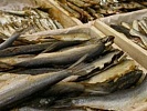 Прокуратурой в суд направлено уголовное дело в отношении жителей области обвиняемых в производстве, хранении и сбыте рыбной продукции опасной для здоровья граждан