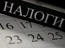 Ростовский предприниматель вернул в казну укрытые налоги на сумму свыше 60 млн рублей