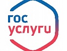 Госавтоинспекция Ростовской области обращает внимание граждан на удобство получения государственных услуг через Интернет-портал и предлагает воспользоваться ими