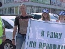 Донская молодёжь выступила за безопасность пешеходов