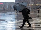 Донская Госавтоинспекция призывает участников дорожного движения быть внимательными на дорогах