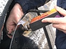 С начала года сотрудниками ГИБДД Ростовской области выявлены более восьми тысяч нарушений правил тонировки