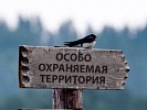 Азовской межрайонной прокуратурой выявлен факт незаконного изъятия из муниципальной собственности земельного участка на левом берегу Дона