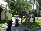 Перед началом школьных каникул донские автоинспекторы провели акцию «Зебра-друг пешеходов!»    