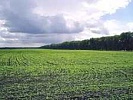 Мошенничество с землями сельскохозяйственного назначения