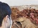 По требованию природоохранного прокурора суд вынес решение о приведении скотомогильников в соответствие с ветеринарными правилами