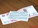 В городе Шахты осужден водитель, пытавшийся дать взятку инспектору-экзаменатору за фальсификацию результатов экзамена
