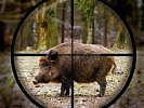 Прокуратурой Зерноградского района признано законным возбуждение уголовного дела по факту незаконной охоты с причинение крупного ущерба